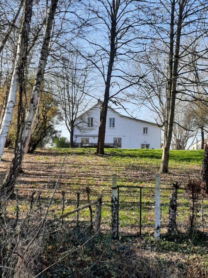 Autour Des Vignes Bed & Breakfast Herry Eksteriør bilde