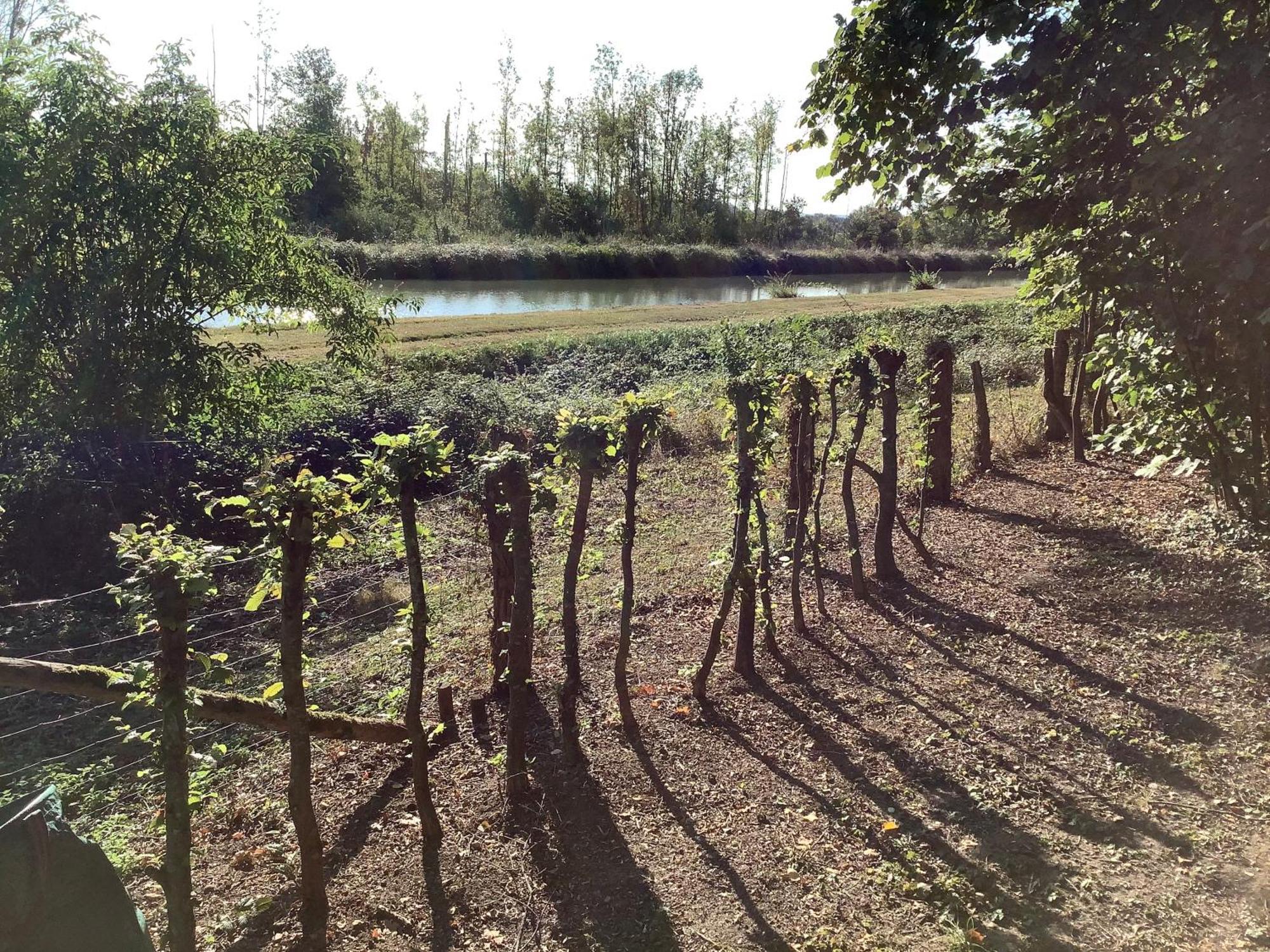 Autour Des Vignes Bed & Breakfast Herry Eksteriør bilde